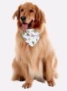 01 bandana pet familia abacate mescla bela notte