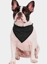 Bandana Pet - Bela Notte