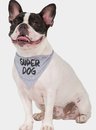 05 bandana pet super dog bela notte