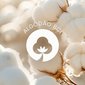 algodo bci blog